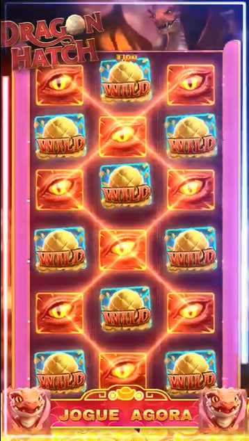 312bet com