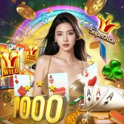 20bets